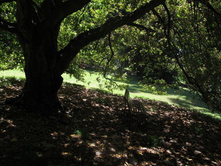 IMG_1904.JPG