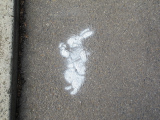 follow-the-white-rabit.jpg