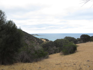 IMG_2612.jpg