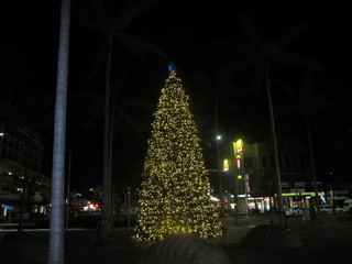 IMG_2630.jpg