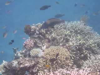 IMG_2969.jpg