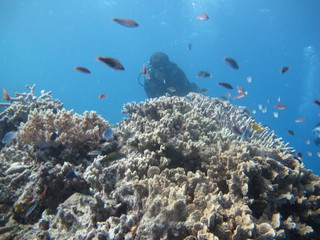 IMG_2990.jpg