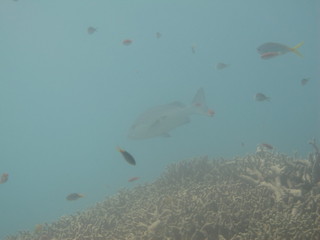 IMG_3007.jpg
