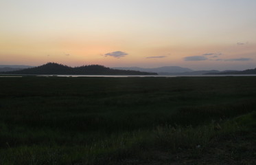 IMG_3200.jpg