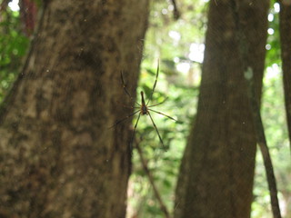 IMG_3246.jpg