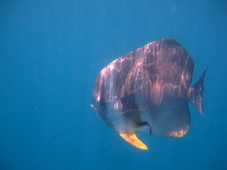 IMG_3828.jpg
