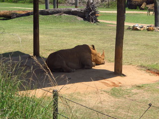 IMG_4112.jpg