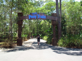 IMG_4157.jpg