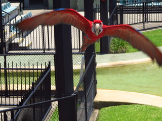 IMG_4170.jpg
