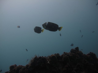 IMG_4336.jpg
