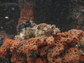 IMG_4343.jpg