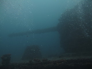IMG_4362.jpg