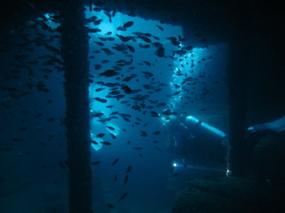 IMG_4394.jpg