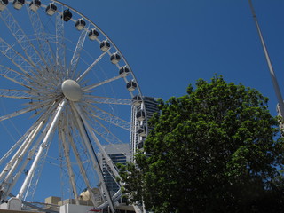 IMG_4717.jpg