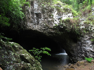 IMG_4736.jpg