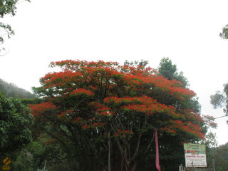 IMG_4769.jpg