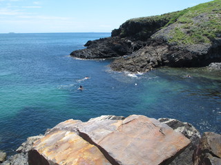 IMG_4866.jpg