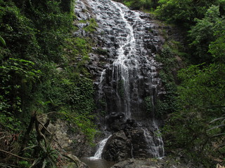 IMG_4900.jpg