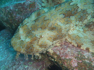 DSCF9302.jpg