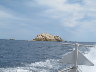 IMG_5116.jpg
