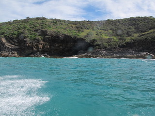 IMG_5117.JPG
