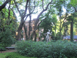 IMG_6512.jpg