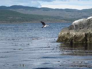 IMG_6636.jpg
