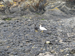 IMG_6711.jpg