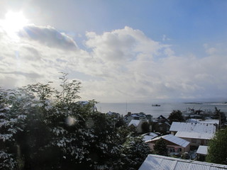 IMG_6720.jpg