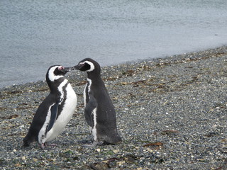 IMG_6782.jpg
