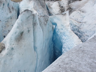 IMG_6972.jpg