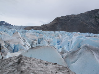 IMG_6987.jpg