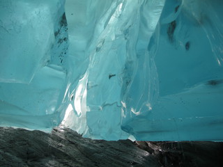 IMG_7019.jpg