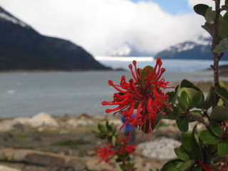 IMG_7133.jpg