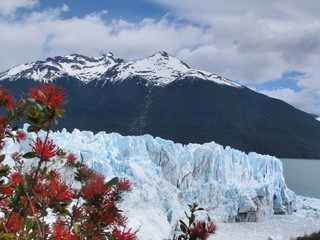 IMG_7171.jpg