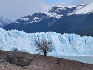 IMG_7219.jpg