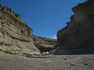 IMG_7227.jpg