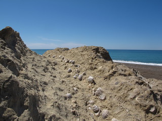 IMG_7228.jpg