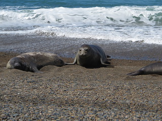 IMG_7245.jpg