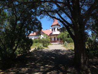 IMG_7264.jpg
