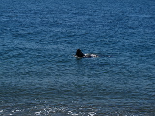 IMG_7287.jpg