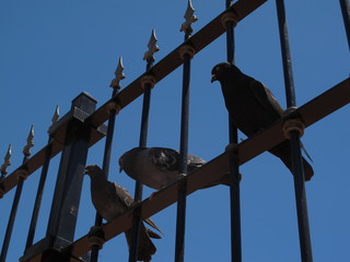 IMG_7440.jpg