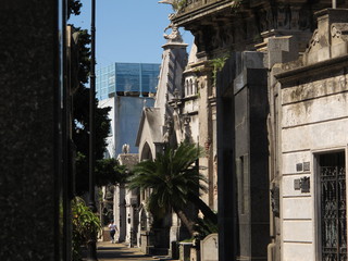 IMG_7395.jpg