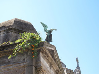 IMG_7397.jpg